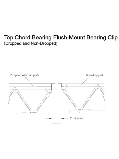 Top Chord Bearing Flush-Mount Bearing Clip (Dropped and Non-Dropped) Thumbnail