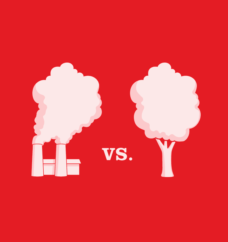 Using Wood Products in Green Building Design