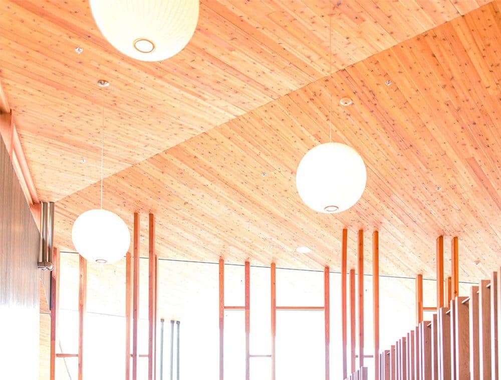 Beautiful wood grain covers roof trusses in a bright space