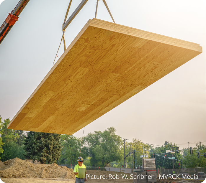 Engineered wood veneer layers improve panel performance and strength
